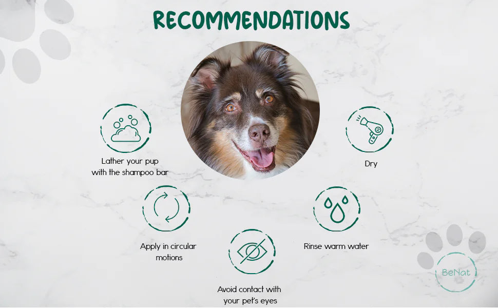 BeNat Animaux de Compagnie. Pain de shampoing entièrement naturel pour animaux de compagnie. Avoine. 164 g.